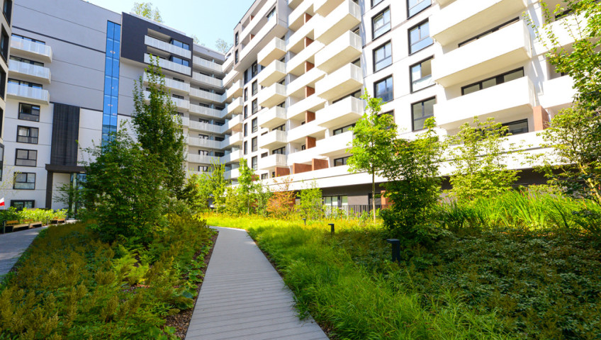 Mieszkanie Wynajem Warszawa Mokotów Domaniewska