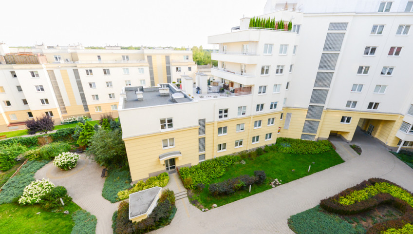 Mieszkanie Wynajem Warszawa Ursynów Alternatywy
