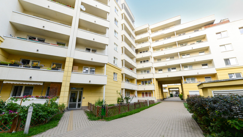 Mieszkanie Wynajem Warszawa Ursynów Alternatywy